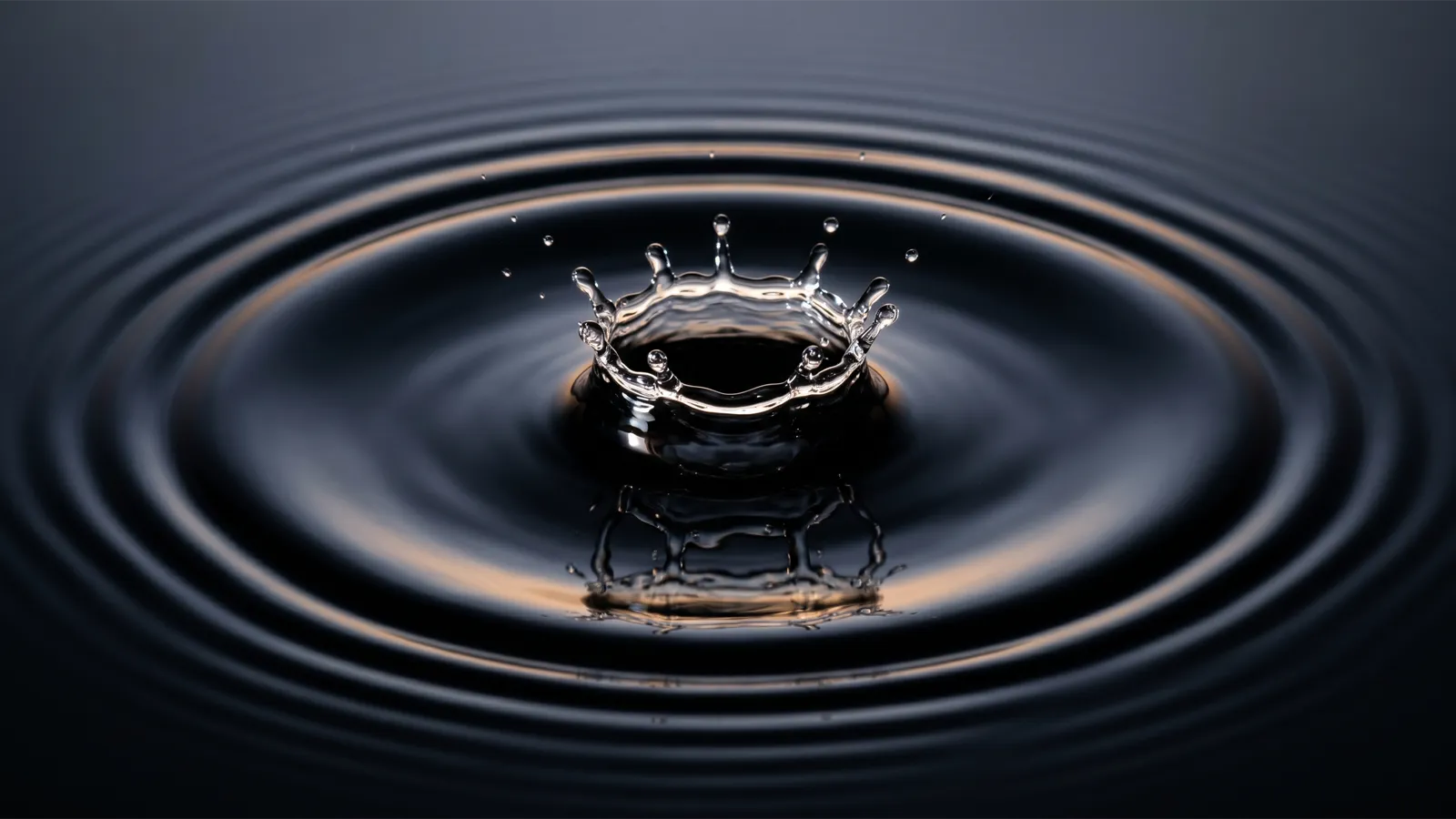 暗い水面に落ちた一粒の水滴が、美しい同心円状の波紋を静かに広げていく瞬間
